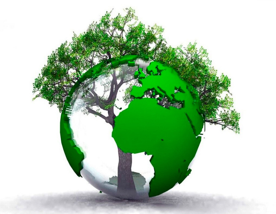     21 марта – Международный день лесов