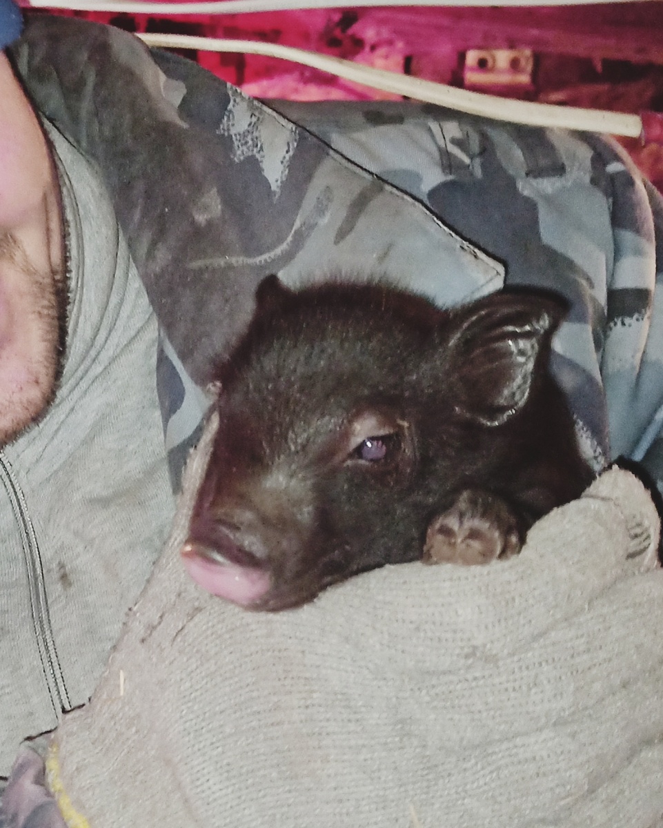 Малышу первые сутки 