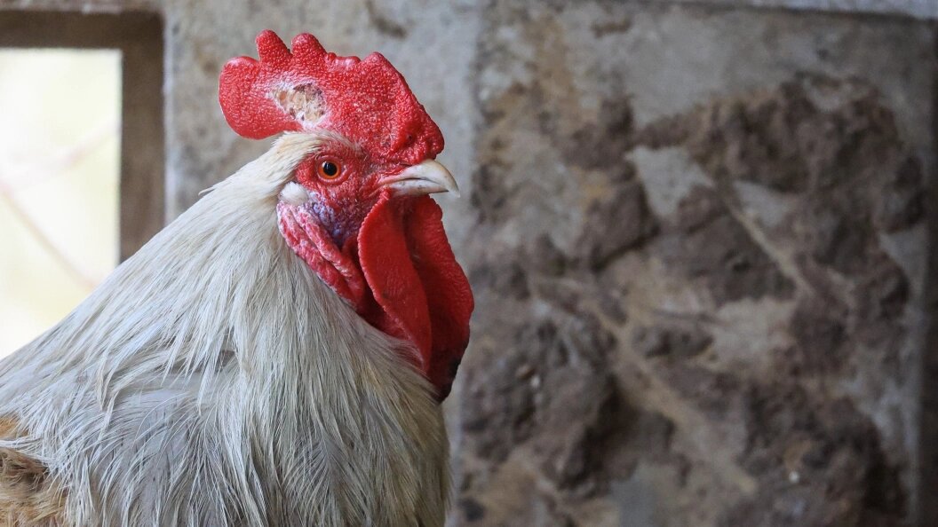    Shatokhina Natalia/news.ru/Globallookpress