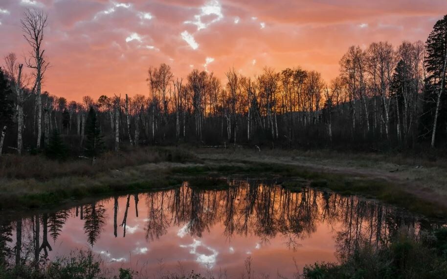 Где-то там была дорога))