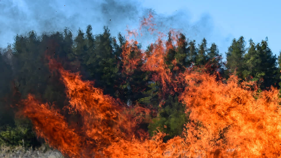 Фото: Влад Некрасов / Коммерсантъ
