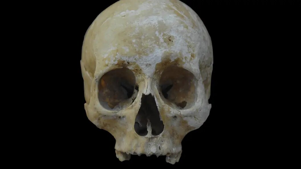    Martin Moxter/imageBROKER.com/Globallookpress