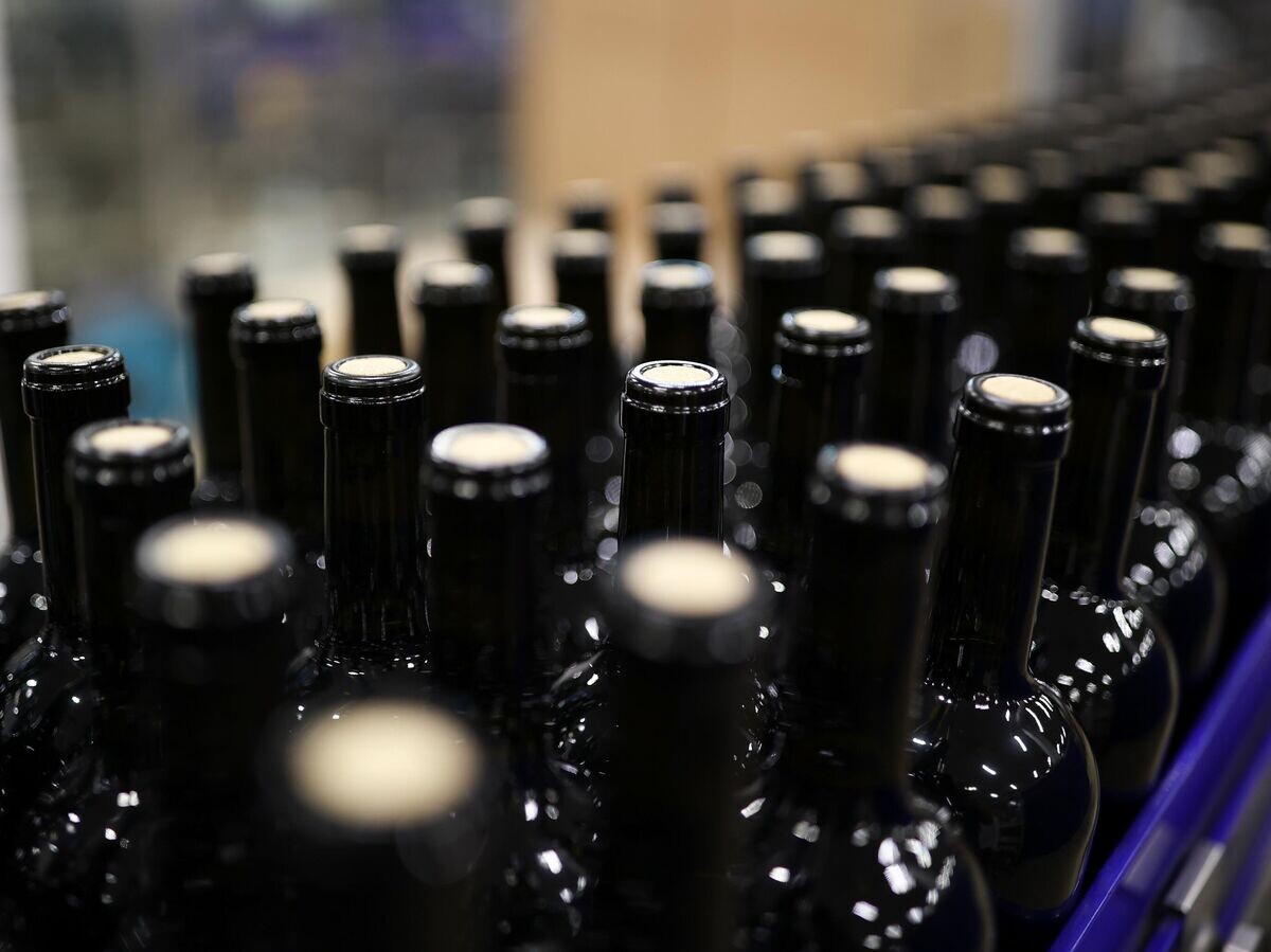    Цех розлива на винодельческом предприятии© РИА Новости / Виталий Тимкив