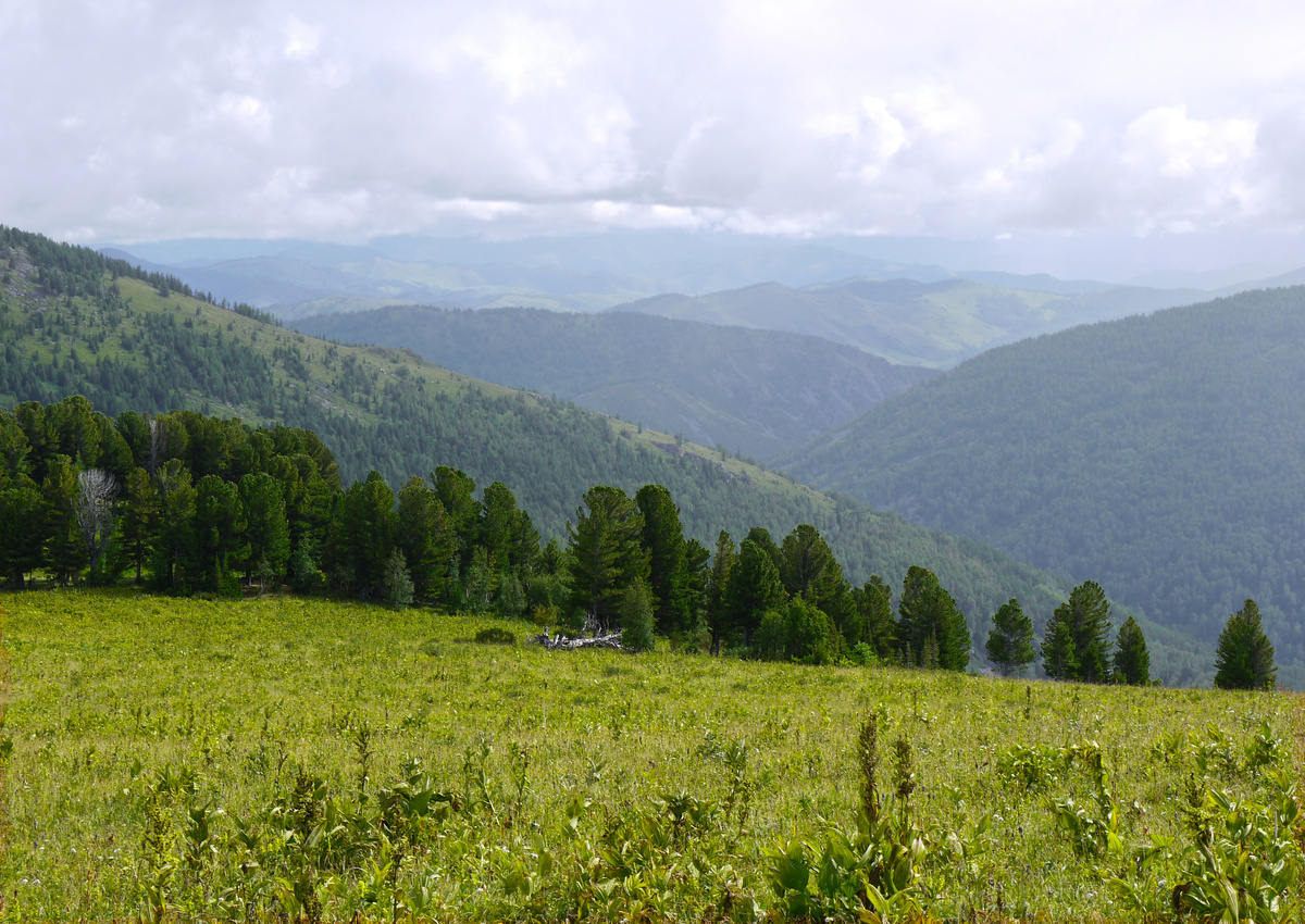    Это фото гор в районе Бащелака