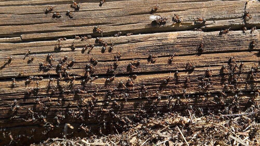    Фото: Valery Lukyanov/Russian Look