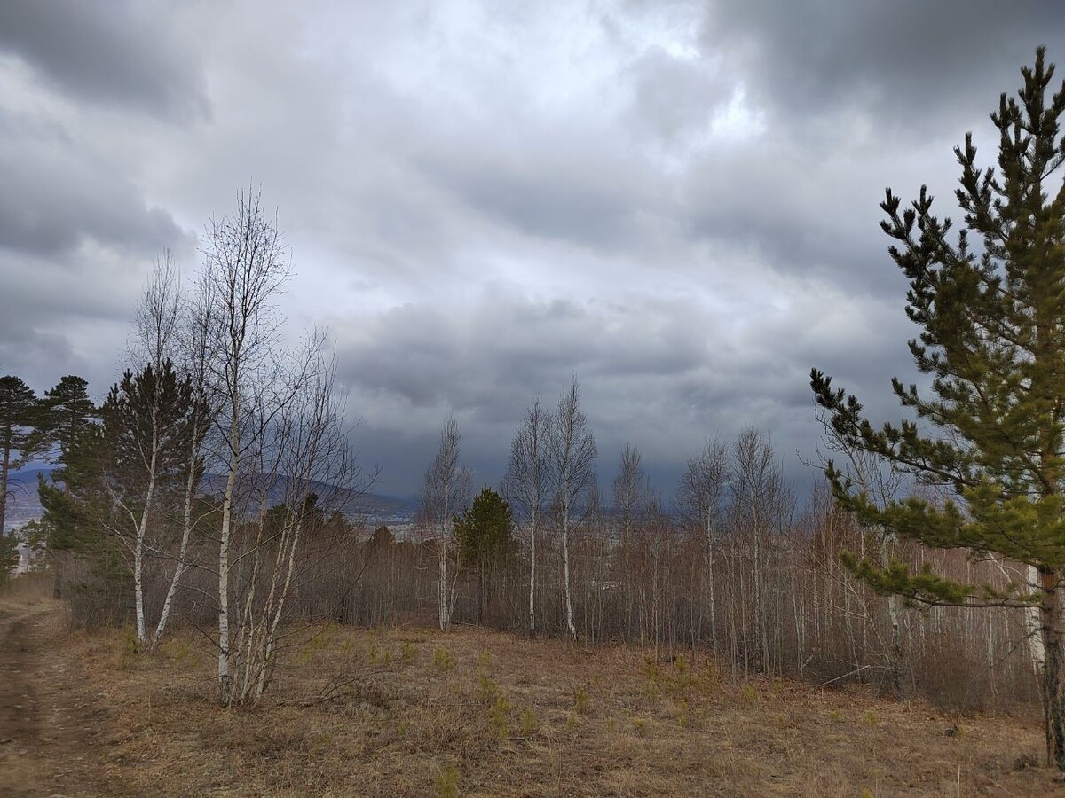    Фото: Lenta75.ru