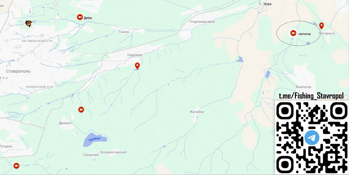 Платная рыбалка, водоем "Бешпагир" (Страусятник/книга)