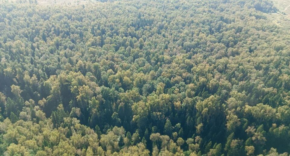    Комитет лесного хозяйства Московской области