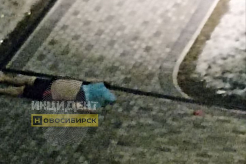    Фото: Инцидент Новосибирск / Telegram