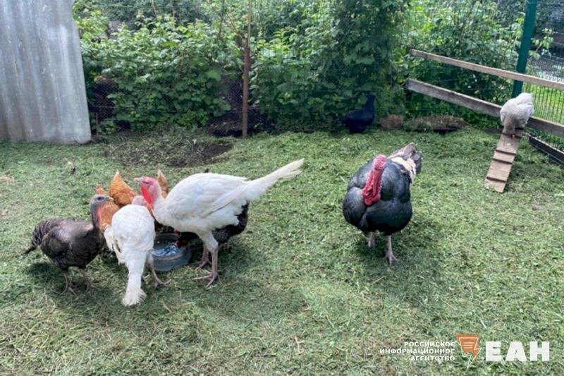    ЕАН / Архивное фото