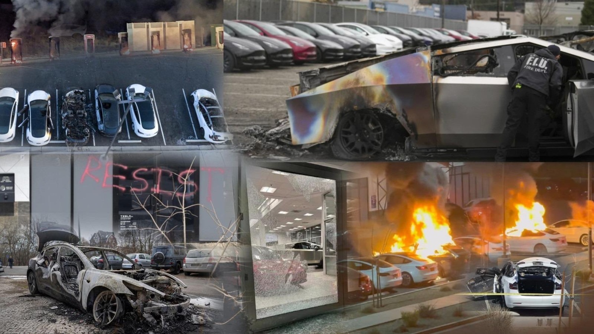 Коллаж Eric Schmitt  📷
