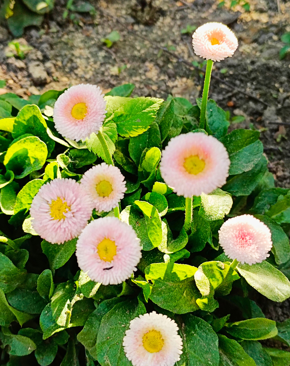 Фото из личного архива автора