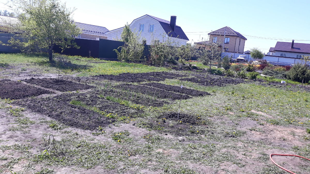 Вскопали первые грядки на второе лето после покупки дома
