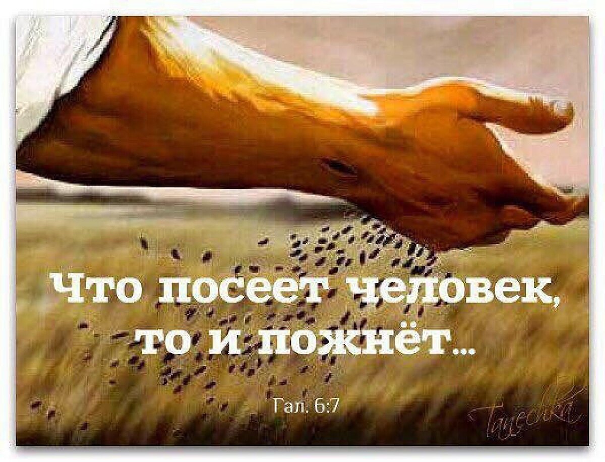 Фото из доступного источника