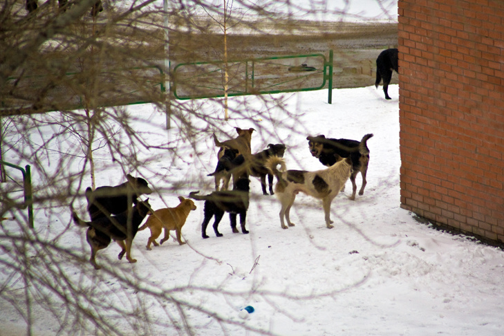    Фото Андрея Заржецкого