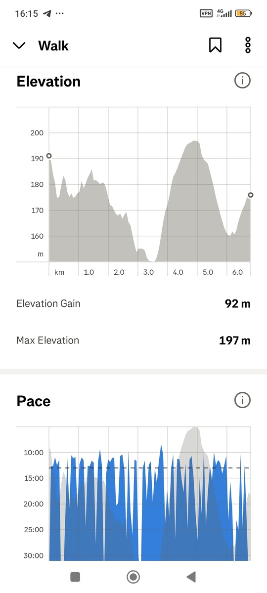 Скриншот приложения Strava. Такие странные показатели связаны с тем, что я забыл переставить галочку с велосипедного режима на режим ходьбы.