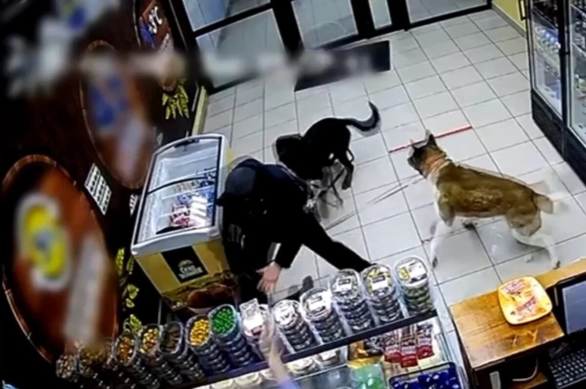    Мужчина в Пермском крае сломал 29-летней девушке позвоночник из-за собак