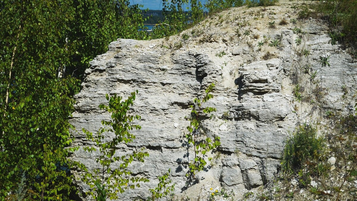     Источник: 1MI