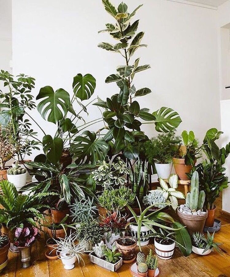 Фото взято из интернета (общедоступное)