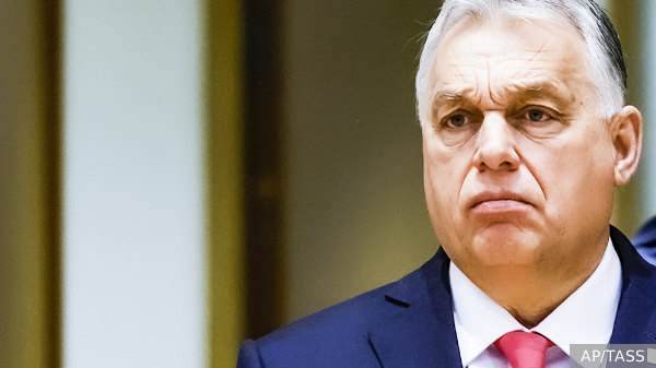     Фото: AP/TASS   
 Текст: Александра Юдина