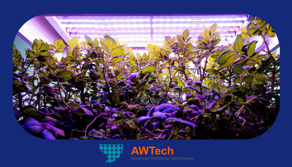 Баннер аэропоника