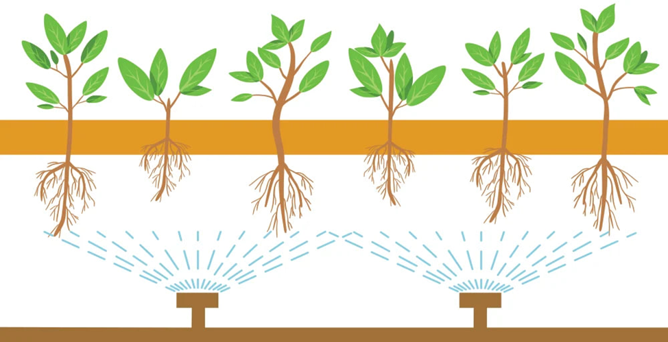 Схема применения аэропоники