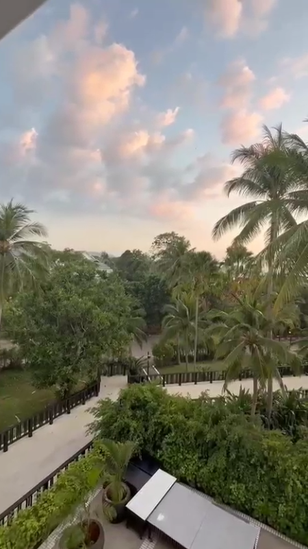 «Планета Лета»