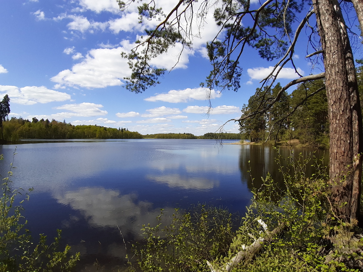 Пустынский участок национального парка "Нижегородское Поволжье" им. В.А. Лебедева, фото: Андрей Георгиев