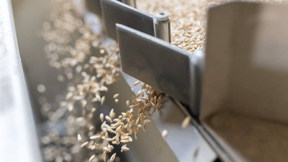 Фото: Игорь Елисеев / Коммерсантъ