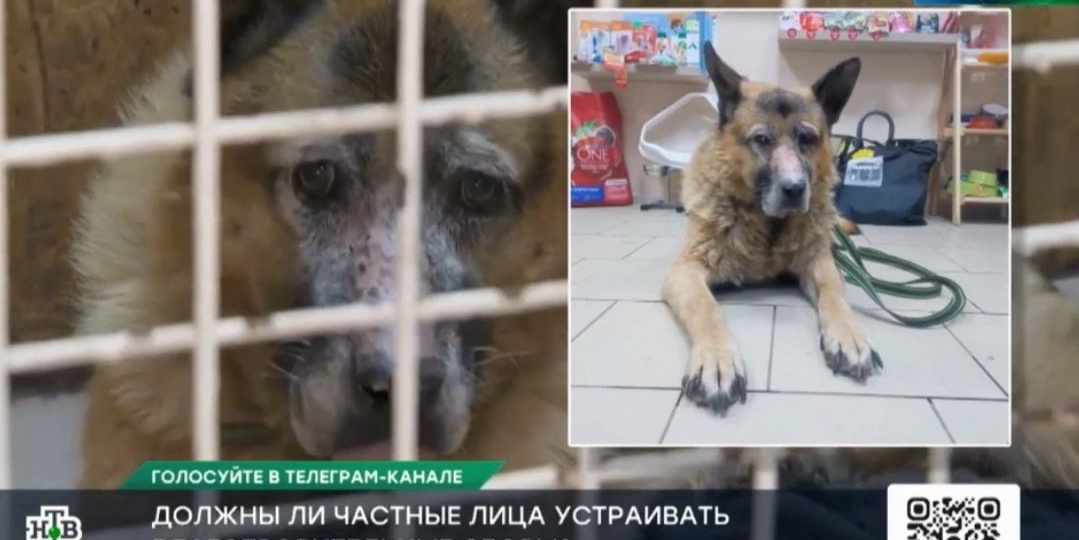 Стал заложником скандалов и предательства...