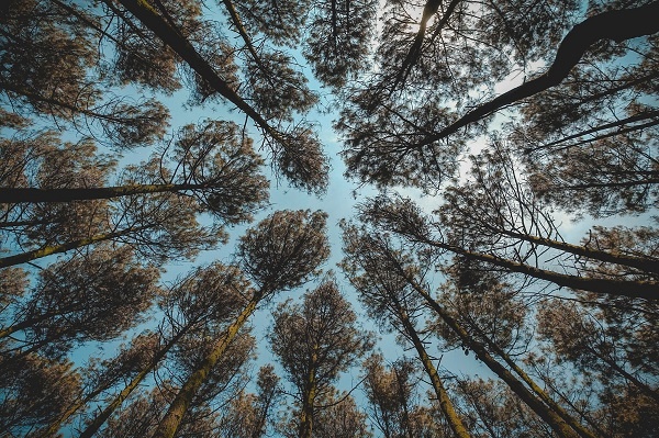 Выход есть!