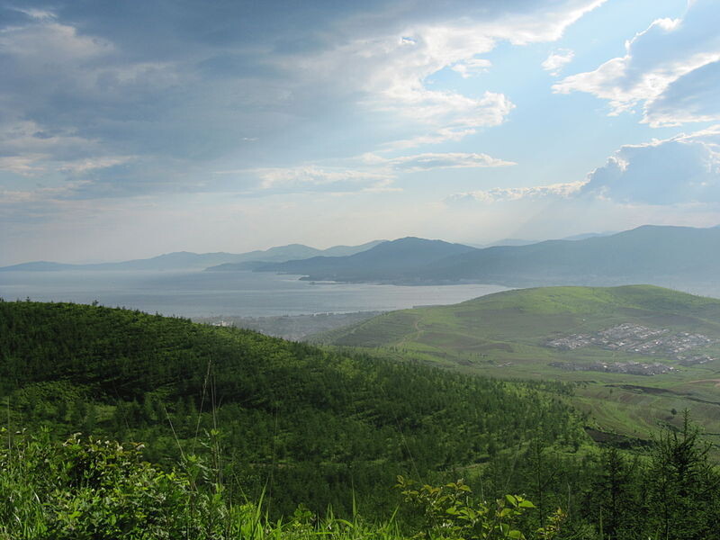 Фото: Laika ac/Unsplash