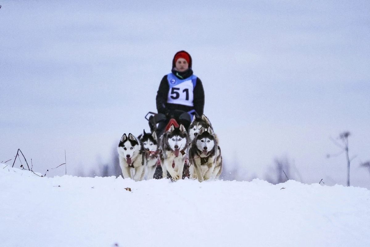 Первая гонка 