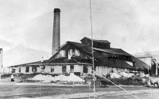 Вторая половина сороковых годов