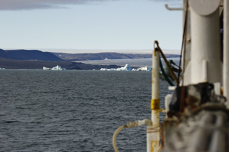 Фото: Wikimedia Commons / Anna Matveeva (CC BY 4.0)