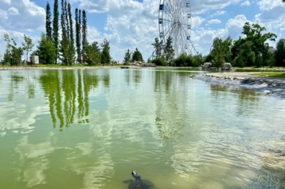    В ЦПКиО Волгограда начали проверку грунта для установки колеса обозрения