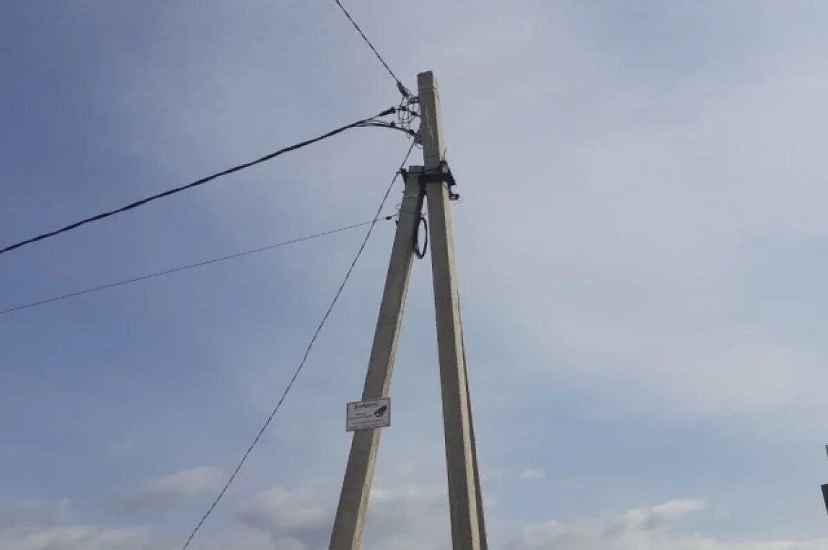    Фотоловушку для борьбы со стихийными свалками установили в Чите