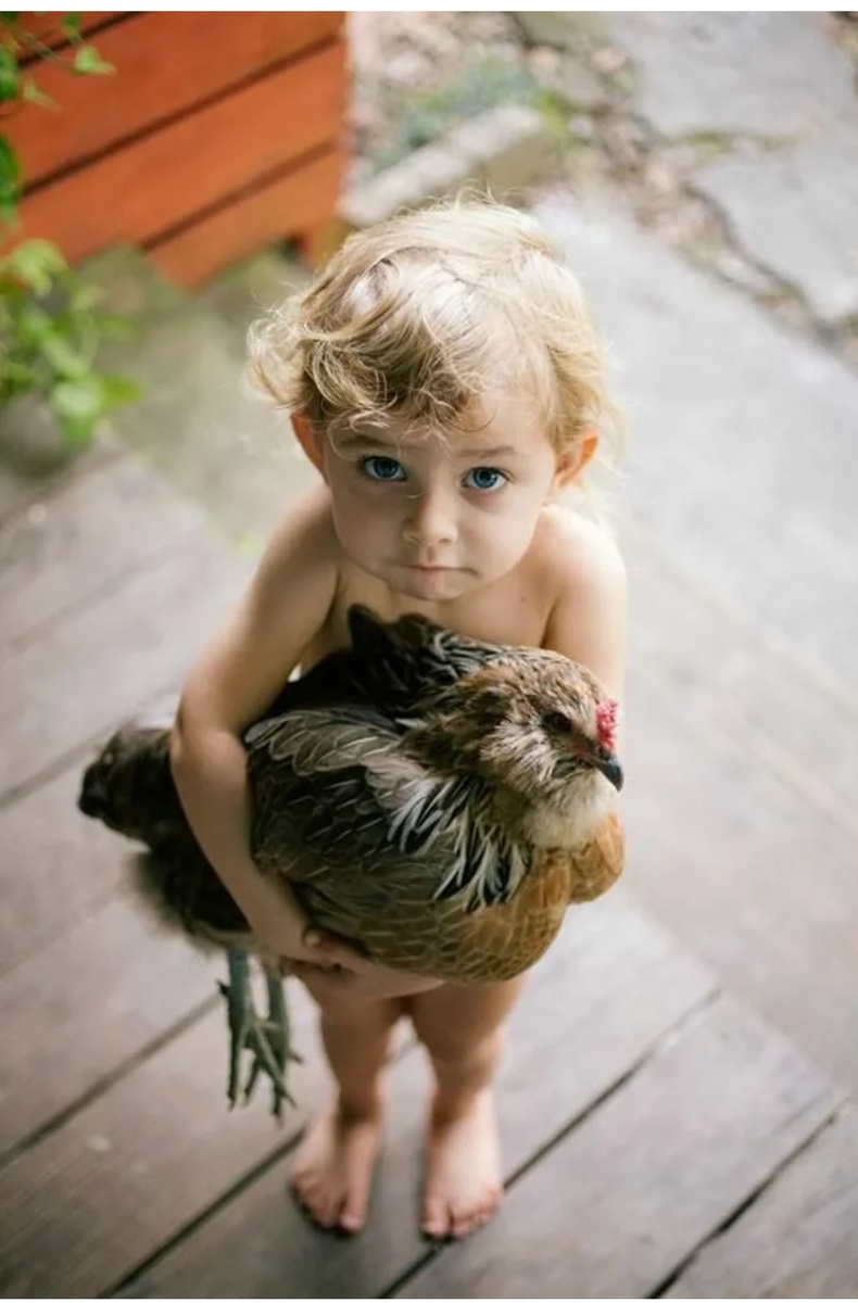 Взято с просторов интернета