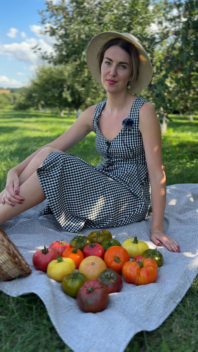 Из семян томатов "Сахар" получается урожай крупных сладких салатных БИФ-томатов разных цветов.