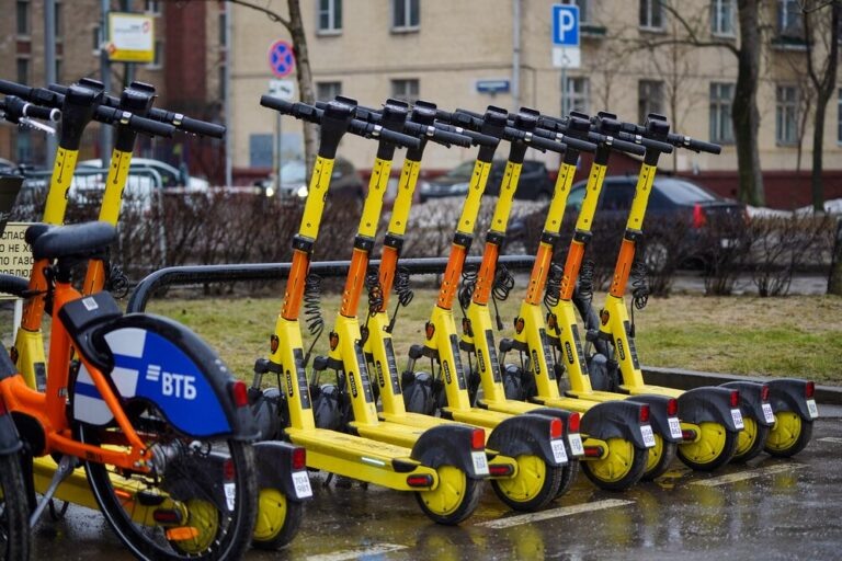    Фото: Агентство «Москва»/Авилов Александр Александра Горохова