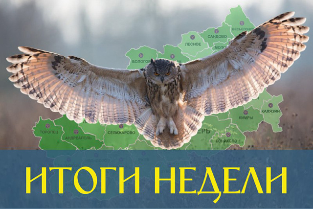 Живы! Итоги тверской «Совиной» недели: из 15 поисков 14 завершены