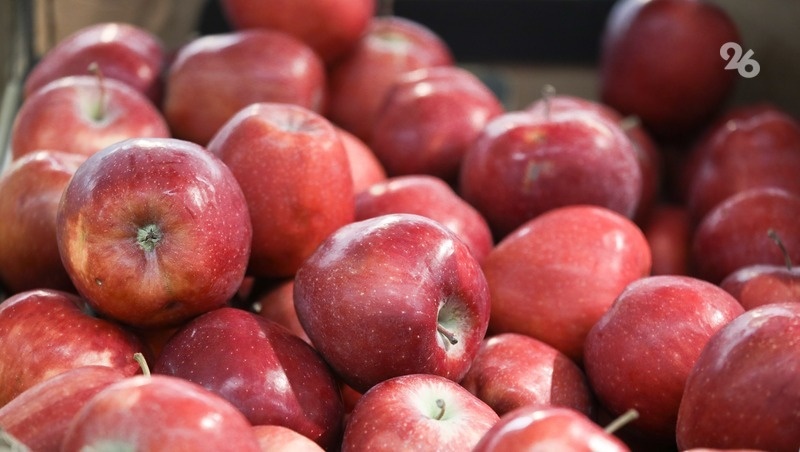    Заявки принимаются до 28 марта 2025 г. Фото: Дмитрий Ахмадуллин / / ИА «Победа26»