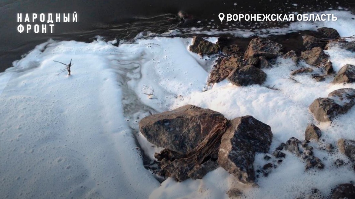    Расторгнут контракт с компанией, загрязняющей реку Дон в Воронежской области региональное отделение ОНФ в Воронежской области