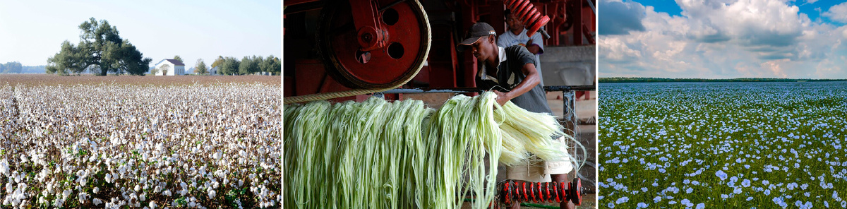 Источник: wikimedia.org  eurosoft.com.tr