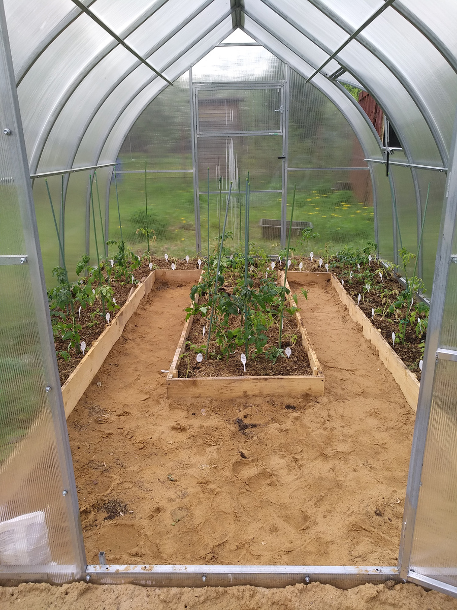 Но  подписала каждый кустик