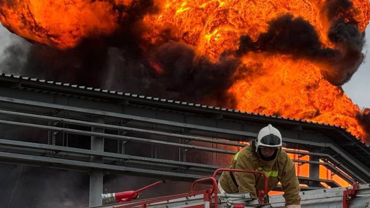    Фото: t.me/mingochskk