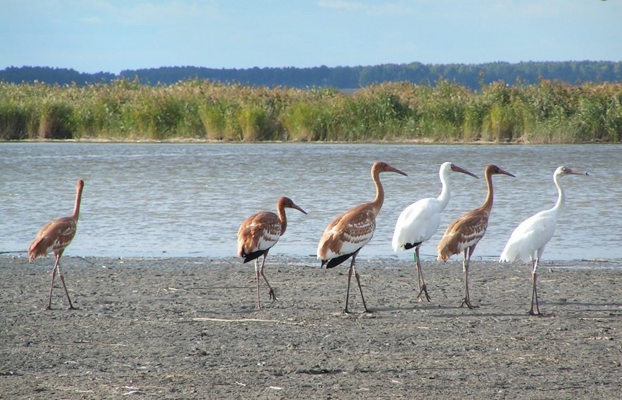    Фото: Минприроды России
