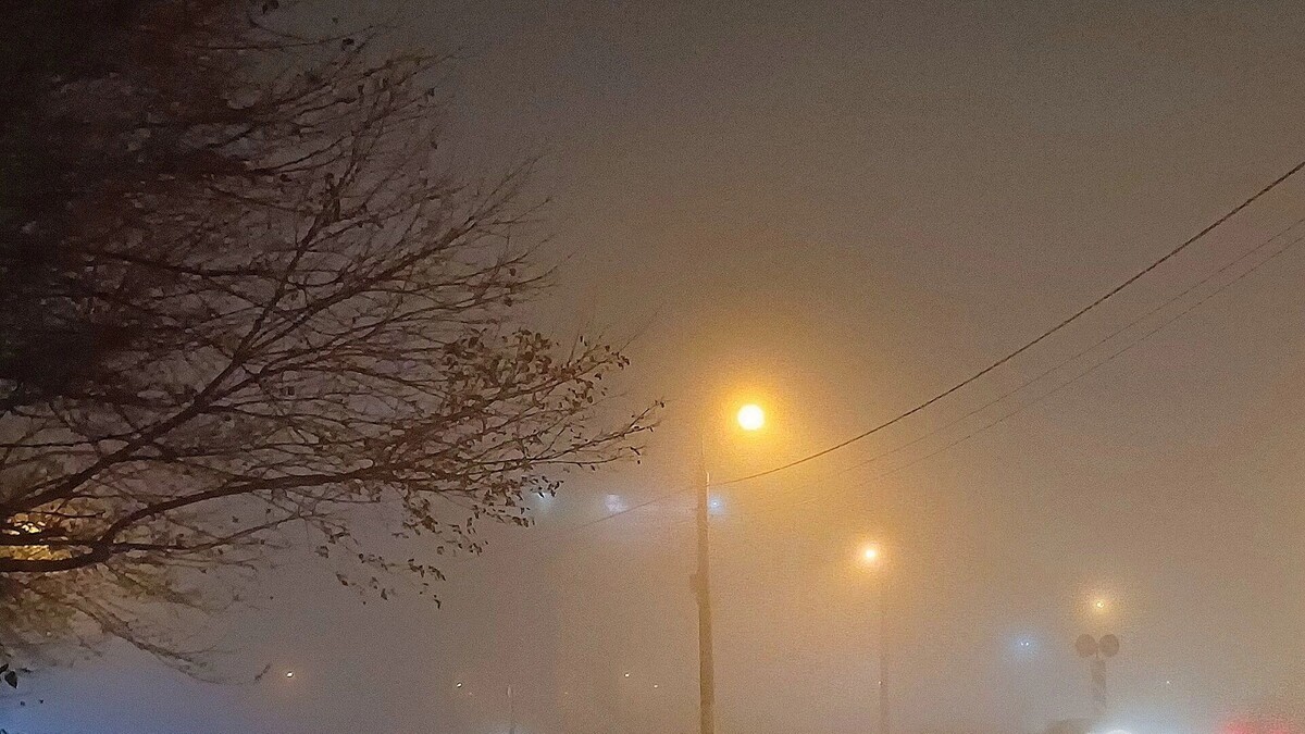     Автор: KubanPress