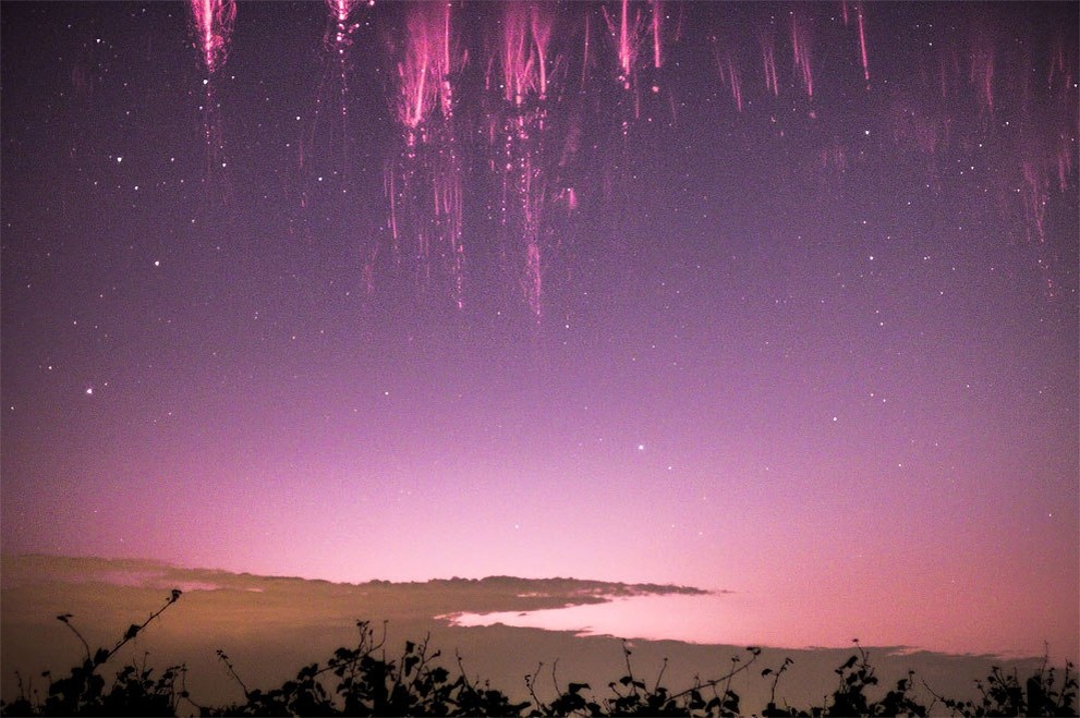 Спрайты над центральной частью Адриатического моря. Фото взято из открытого источника