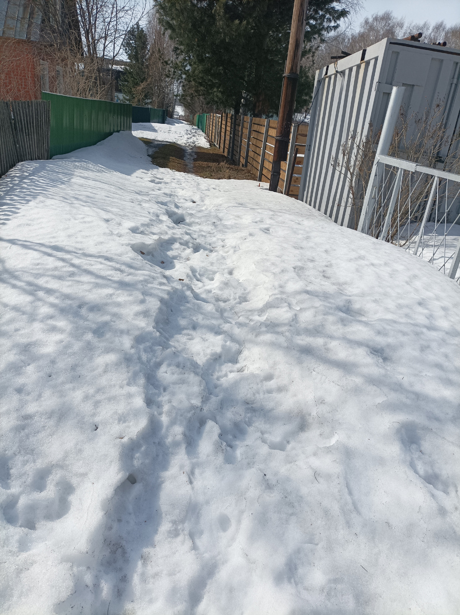 это уже ближе к нашему участку, снега меньше, чем в начале пути). Осталось каких-то метров 70